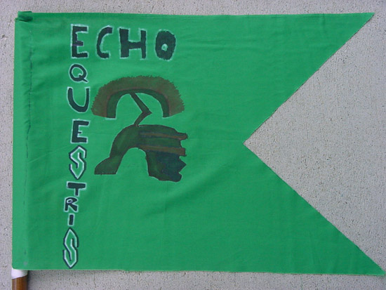 guidon-echo1